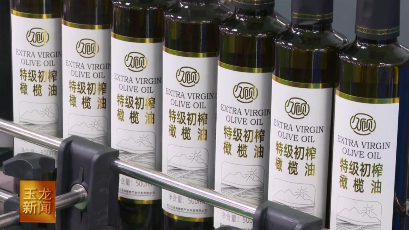 历时16年三全公司成为种产销一体化油橄榄企业_久顾特级初榨橄榄油