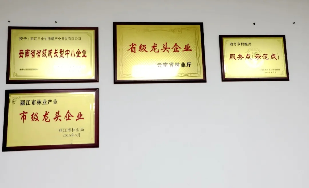 破茧化蝶!丽江油橄榄龙头企业16年实现种产销一体化_久顾橄榄油