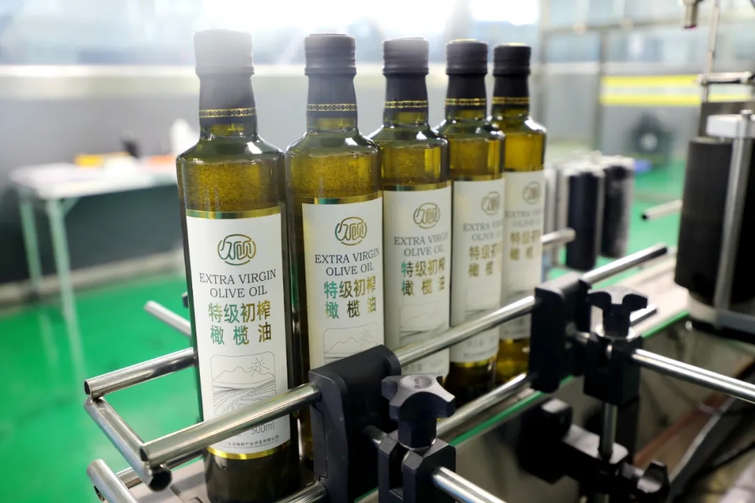 破茧化蝶!丽江油橄榄龙头企业16年实现种产销一体化_久顾橄榄油